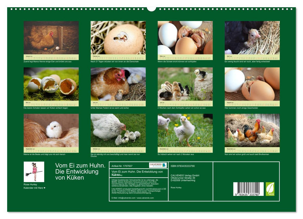 Vom Ei zum Huhn. Die Entwicklung von Küken (CALVENDO Premium Wandkalender 2025)