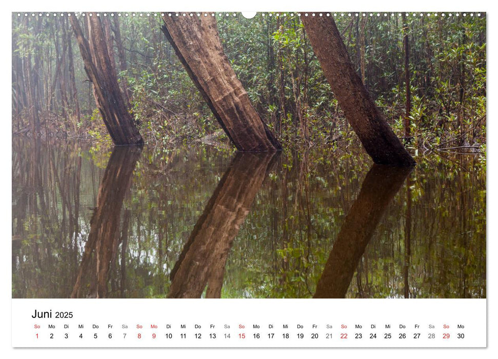 Mythos Amazonas - Naturparadies Brasiliens (CALVENDO Premium Wandkalender 2025)