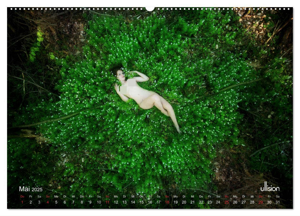 ZAUBERWALD Mystik der Natur (CALVENDO Premium Wandkalender 2025)