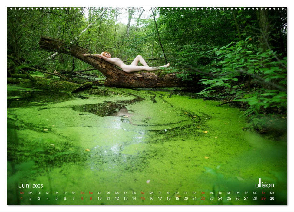 ZAUBERWALD Mystik der Natur (CALVENDO Premium Wandkalender 2025)