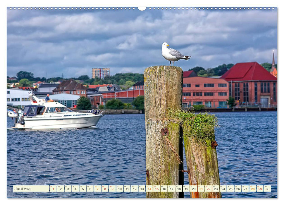 Bezauberndes Flensburg (CALVENDO Wandkalender 2025)