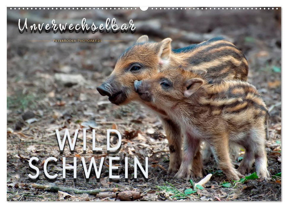 Unverwechselbar - Wildschwein (CALVENDO Wandkalender 2025)