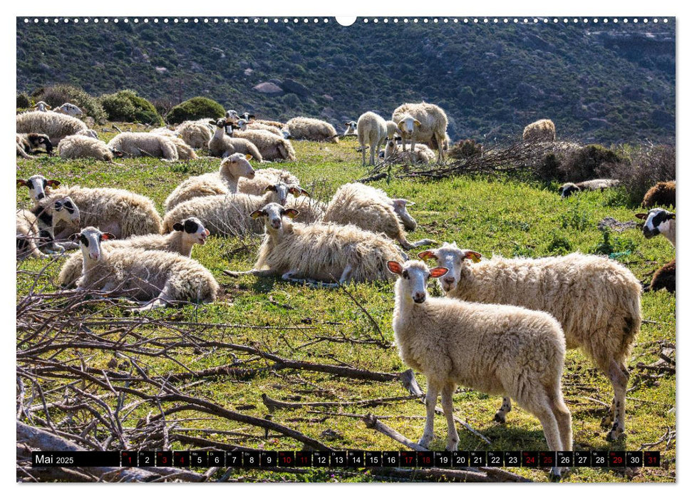 Ostkreta - Zwischen Sitia und Ierapetra (CALVENDO Premium Wandkalender 2025)