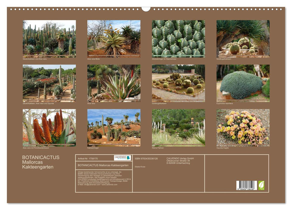 BOTANICACTUS Mallorcas Kakteengarten (CALVENDO Wandkalender 2025)