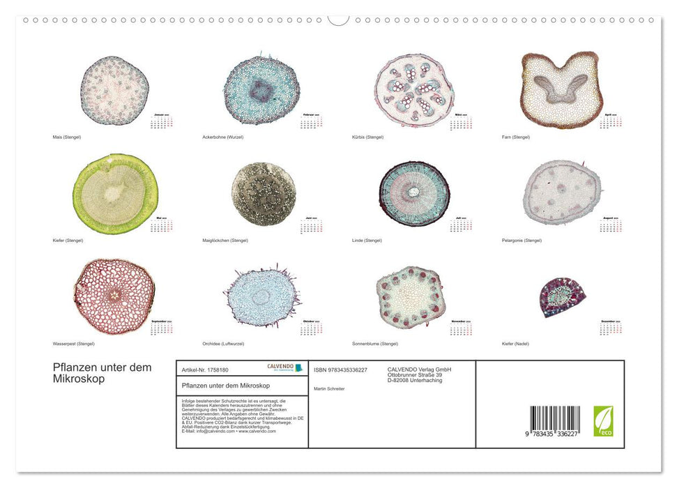 Pflanzen unter dem Mikroskop (CALVENDO Premium Wandkalender 2025)