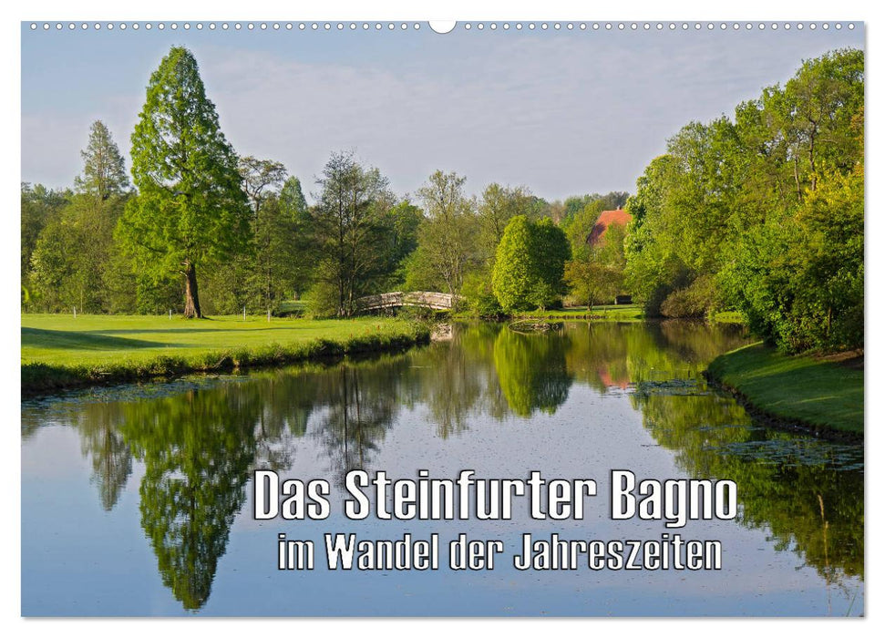 Das Steinfurter Bagno im Wandel der Jahreszeiten (CALVENDO Wandkalender 2025)