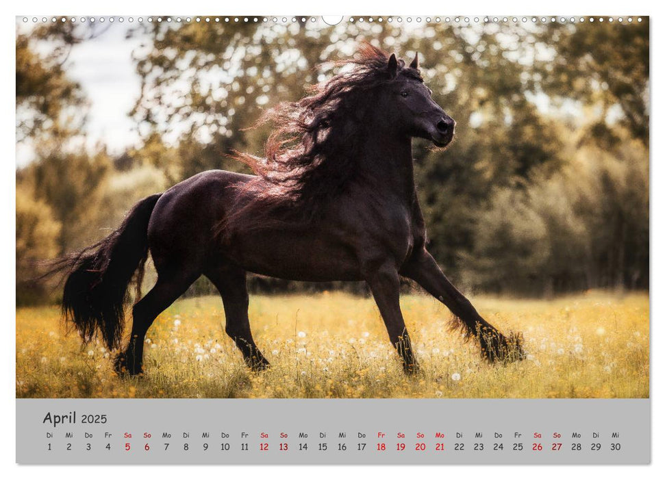 Spiegel deiner Seele (CALVENDO Premium Wandkalender 2025)