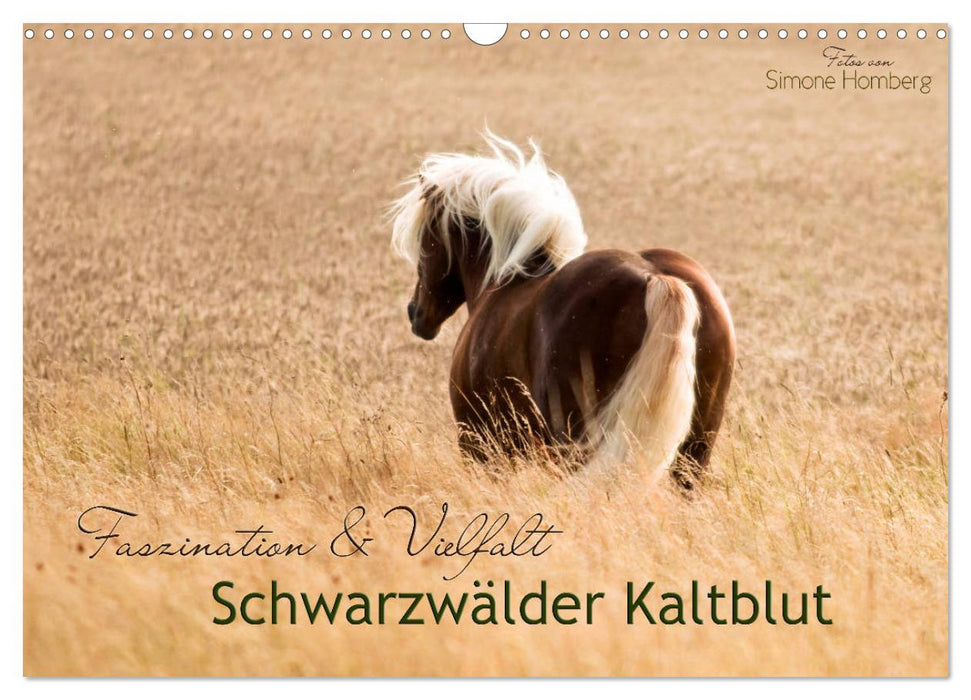 Faszination und Vielfalt - Schwarzwälder Kaltblut (CALVENDO Wandkalender 2025)