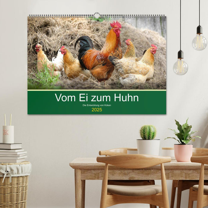 Vom Ei zum Huhn. Die Entwicklung von Küken (CALVENDO Wandkalender 2025)