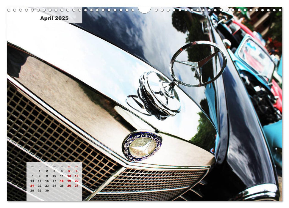 Mercedes Edel & Fein (CALVENDO Wandkalender 2025)