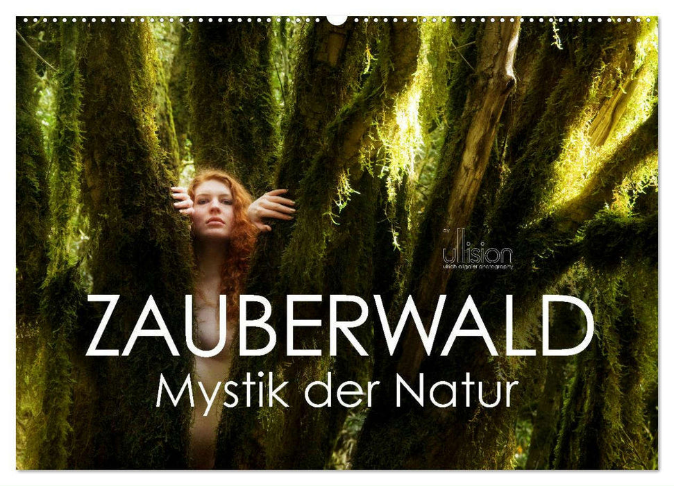 ZAUBERWALD Mystik der Natur (CALVENDO Wandkalender 2025)