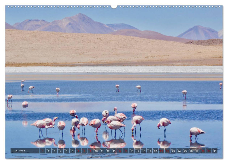 Peru Bolivien Chile (CALVENDO Premium Wandkalender 2025)