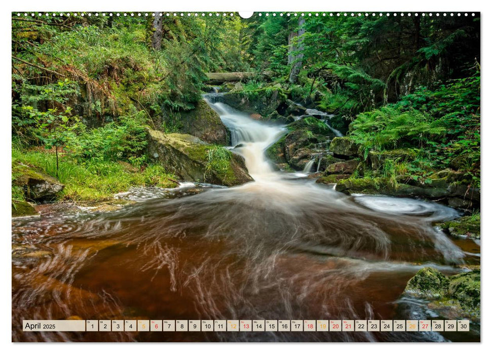 Deutschland - Nationalparks (CALVENDO Premium Wandkalender 2025)