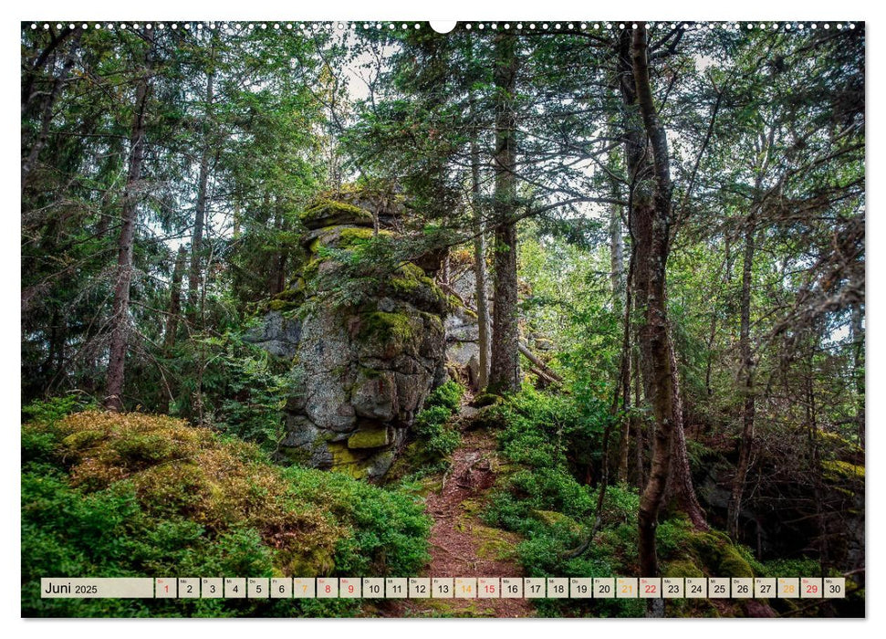 Deutschland - Nationalparks (CALVENDO Premium Wandkalender 2025)