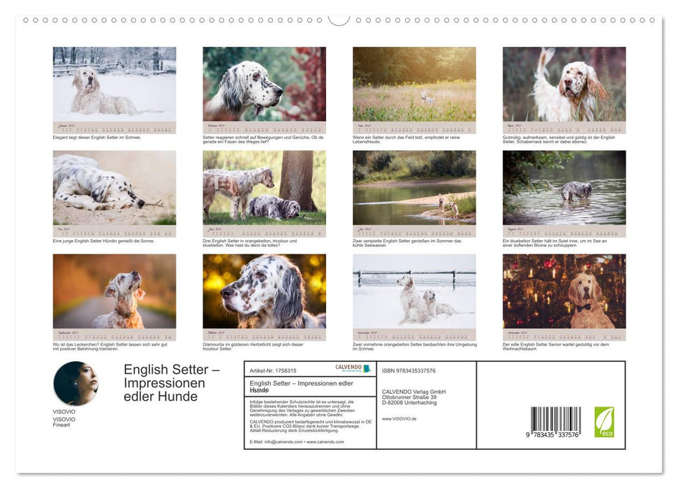 English Setter – Impressionen edler Hunde (CALVENDO Premium Wandkalender 2025)