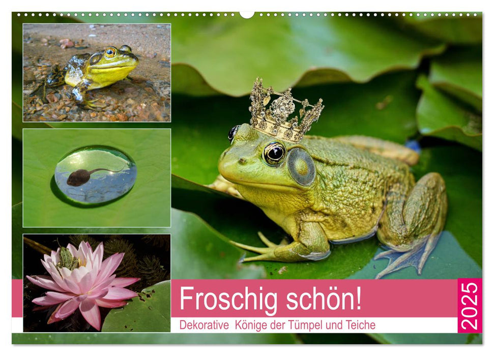 Froschig schön! Dekorative Könige der Tümpel und Teiche (CALVENDO Wandkalender 2025)