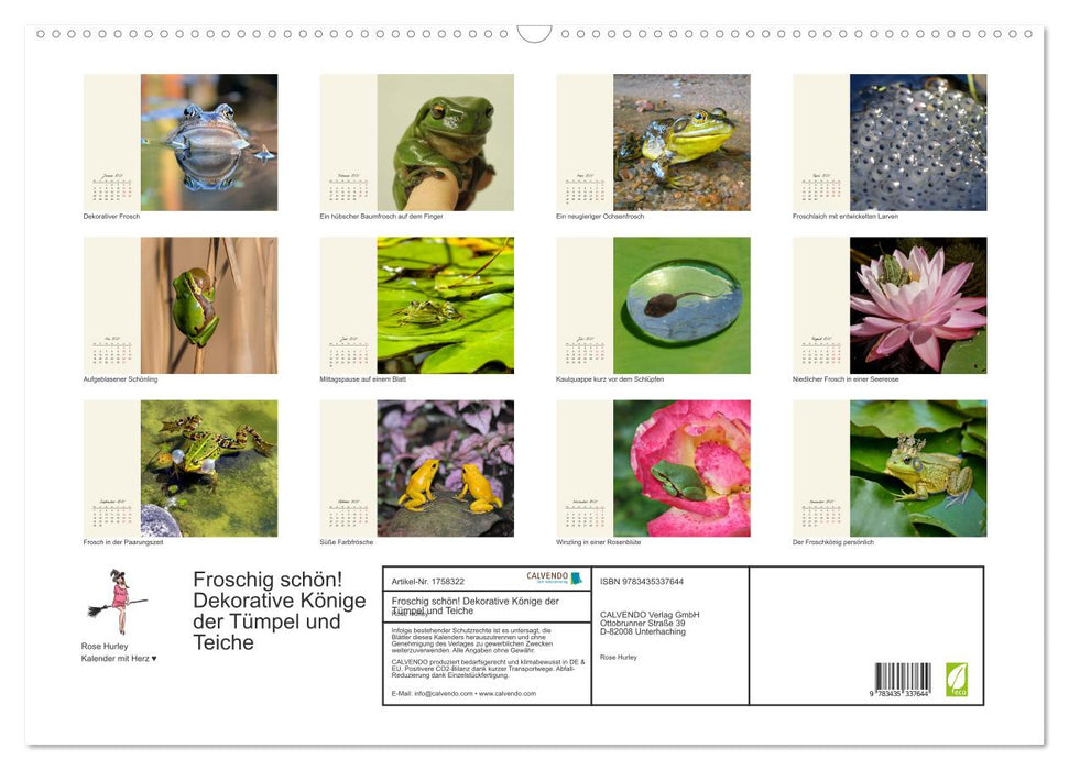 Froschig schön! Dekorative Könige der Tümpel und Teiche (CALVENDO Wandkalender 2025)