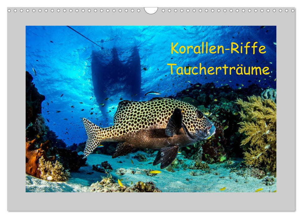 Korallen-Riffe Taucherträume (CALVENDO Wandkalender 2025)