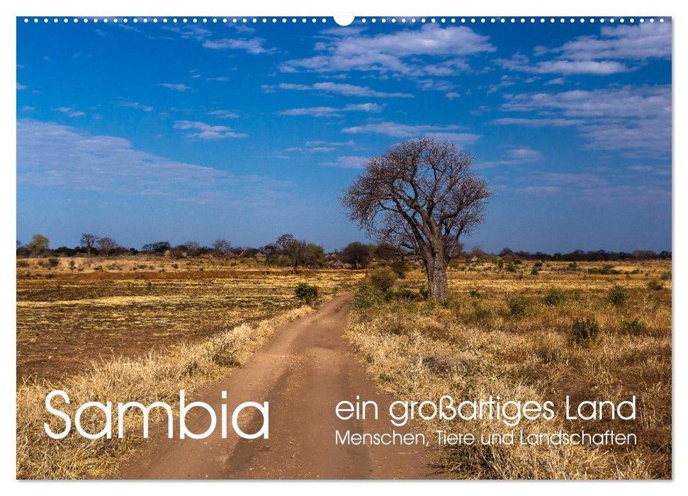 Sambia - ein großartiges Land (CALVENDO Wandkalender 2025)