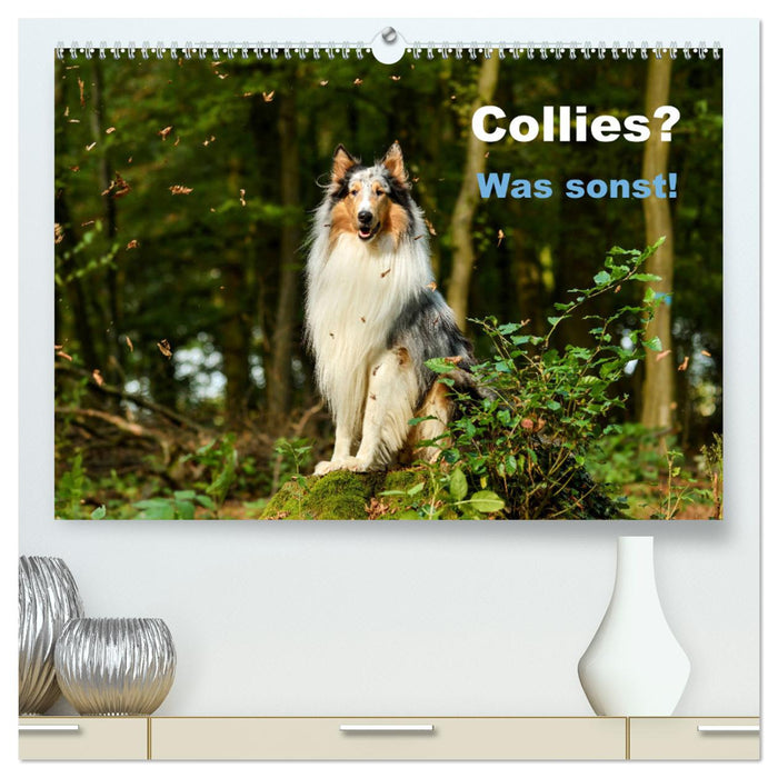 Collies? Was sonst! (CALVENDO Premium Wandkalender 2025)