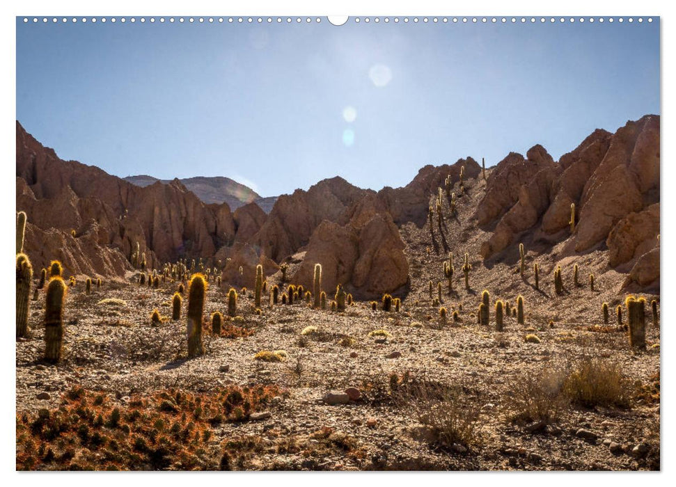 Andenhochland - Impressionen von Ecuador bis Nordargentinien (CALVENDO Wandkalender 2025)