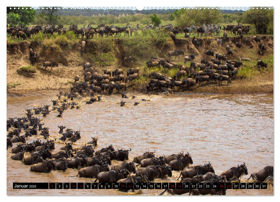 Tansania - Tierwanderung in der Serengeti (CALVENDO Premium Wandkalender 2025)