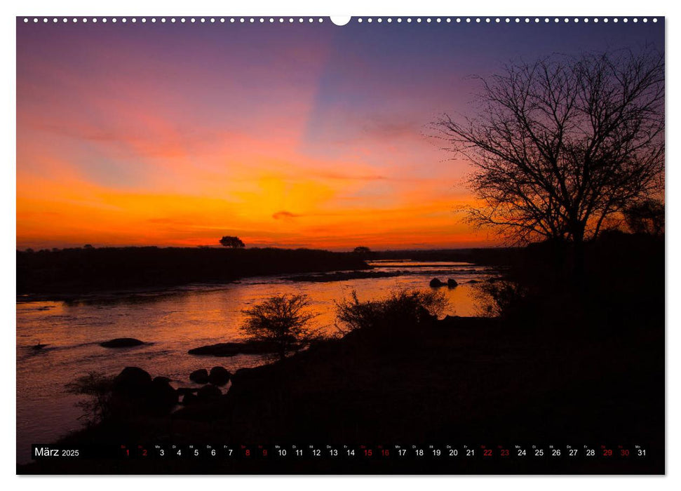 Tansania - Tierwanderung in der Serengeti (CALVENDO Premium Wandkalender 2025)