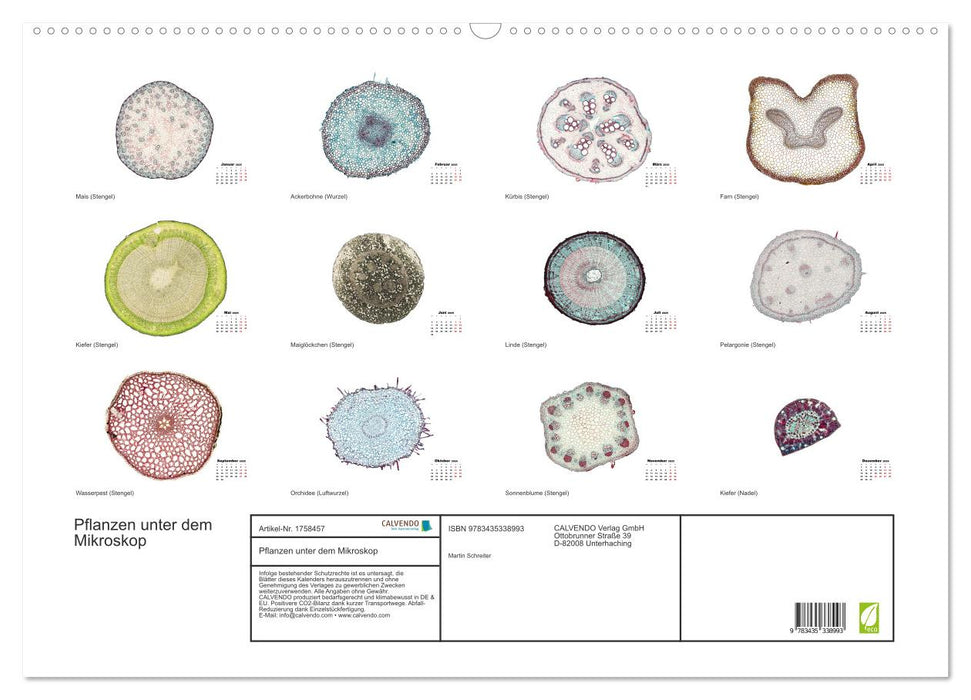 Pflanzen unter dem Mikroskop (CALVENDO Wandkalender 2025)