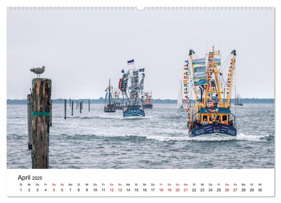 Wilhelmshaven und Umland - Idyllische Motive von Häfen, Meer und Landschaft (CALVENDO Premium Wandkalender 2025)