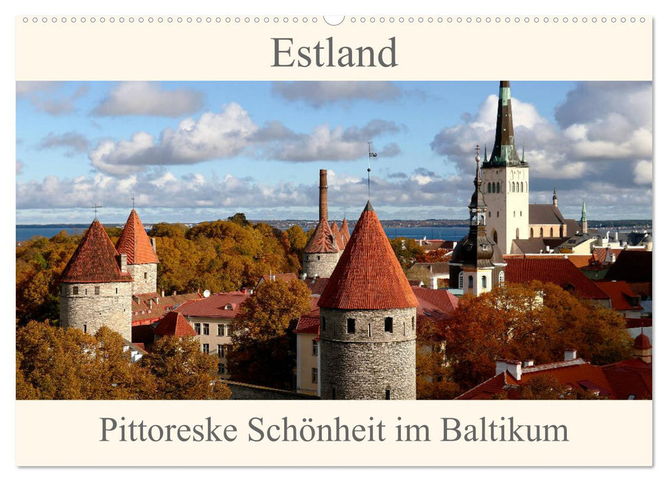 Estland - Pittoreske Schönheit im Baltikum (CALVENDO Wandkalender 2025)