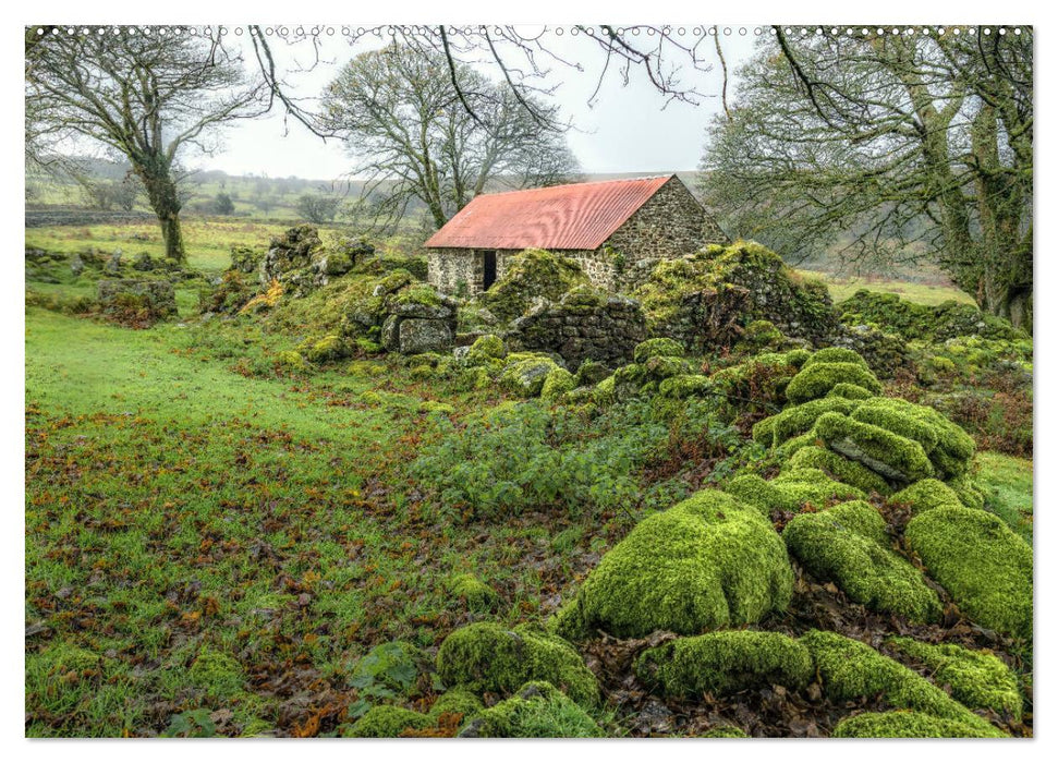 Dartmoor, herbe Schönheit im Süden Englands (CALVENDO Premium Wandkalender 2025)