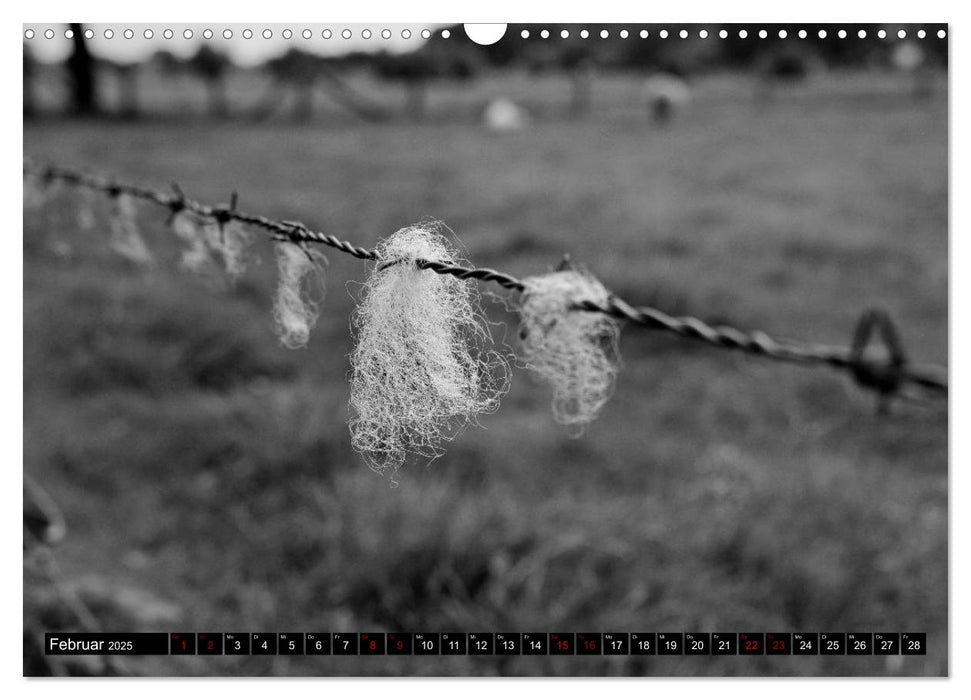 Monochromer Niederrhein (CALVENDO Wandkalender 2025)