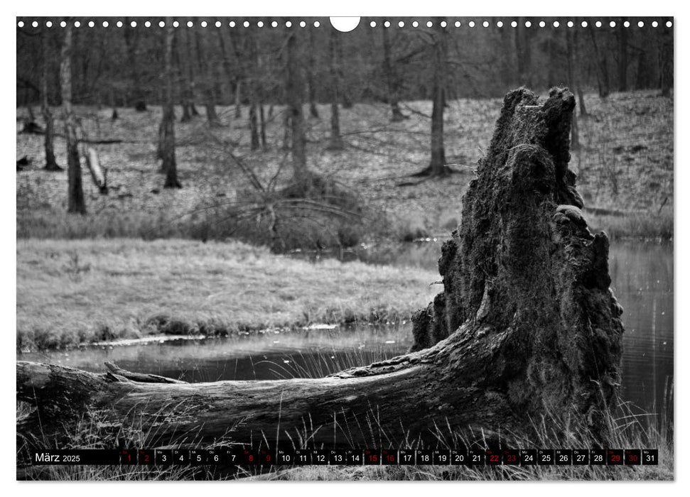 Monochromer Niederrhein (CALVENDO Wandkalender 2025)