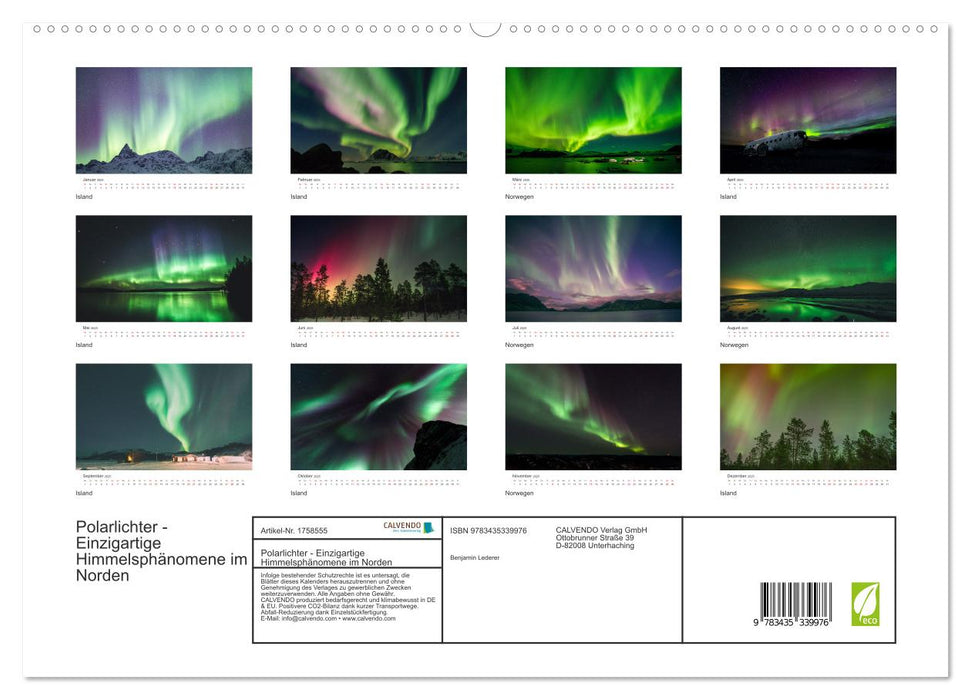 Polarlichter - Einzigartige Himmelsphänomene im Norden (CALVENDO Premium Wandkalender 2025)