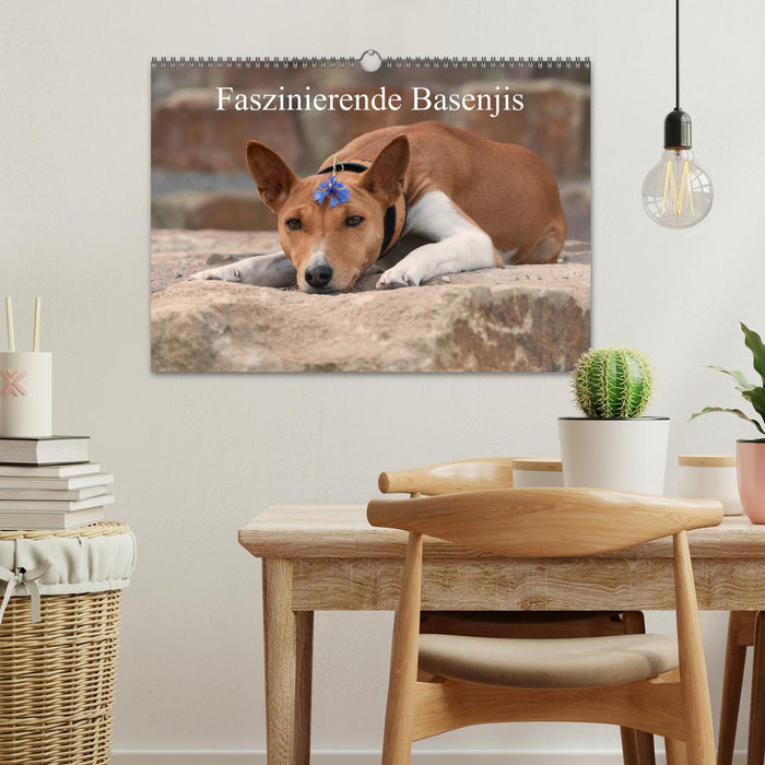 Faszinierende Basenjis (CALVENDO Wandkalender 2025)