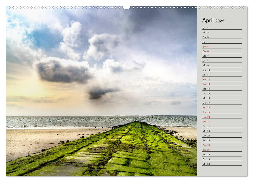 NORDERNEY Geburtstagskalender mit Planerfunktion (CALVENDO Premium Wandkalender 2025)