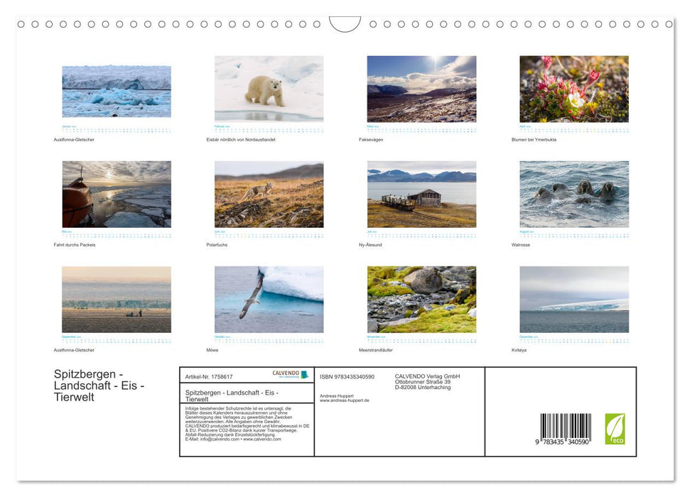 Spitzbergen - Landschaft - Eis - Tierwelt (CALVENDO Wandkalender 2025)