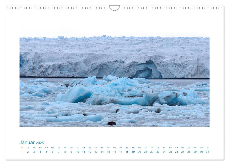 Spitzbergen - Landschaft - Eis - Tierwelt (CALVENDO Wandkalender 2025)