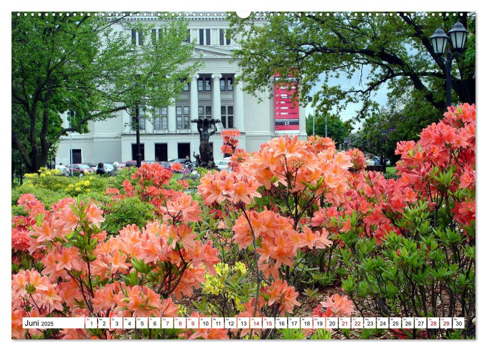 Glanzlichter Rigas - Lettlands prachtvolle Hauptstadt (CALVENDO Wandkalender 2025)