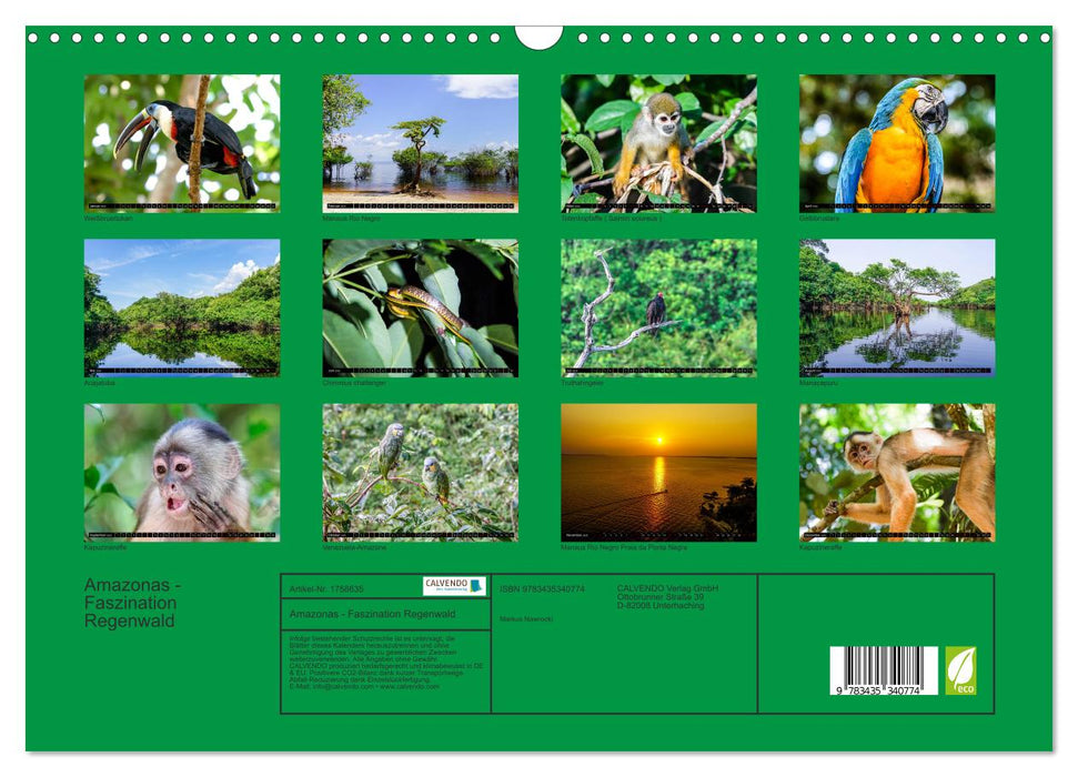 Amazonas - Faszination Regenwald (CALVENDO Wandkalender 2025)