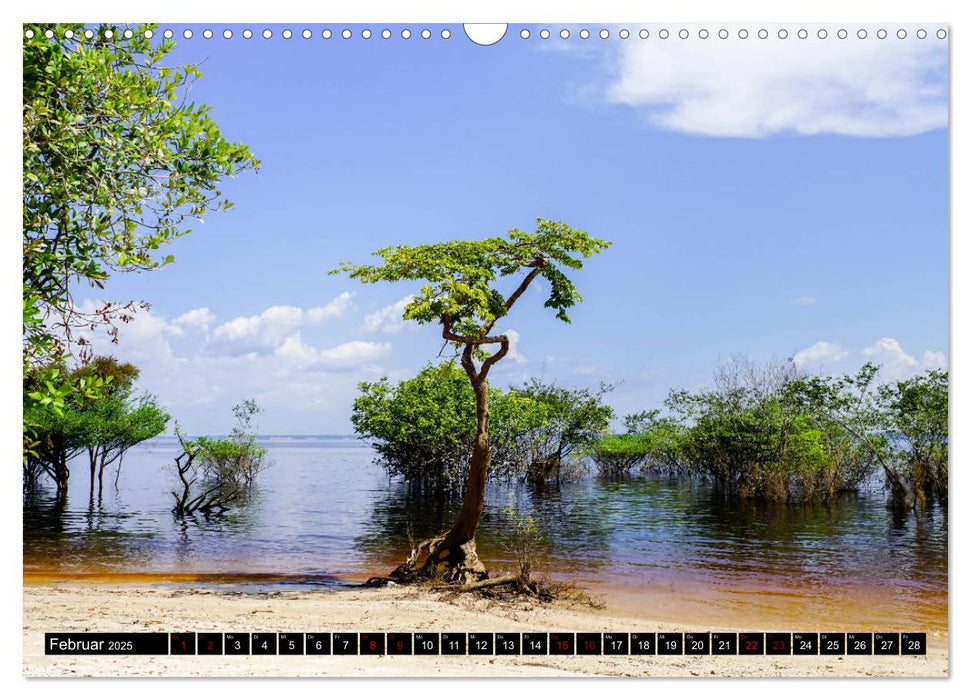 Amazonas - Faszination Regenwald (CALVENDO Wandkalender 2025)