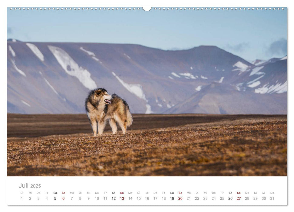 Spitzbergen - Wild.Rau.Ungezähmt. (CALVENDO Premium Wandkalender 2025)