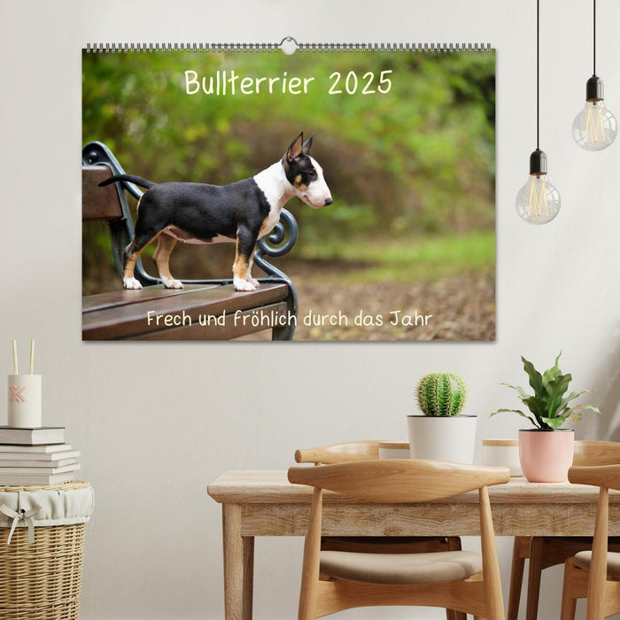 Bullterrier 2025 Frech und fröhlich durch das Jahr (CALVENDO Wandkalender 2025)