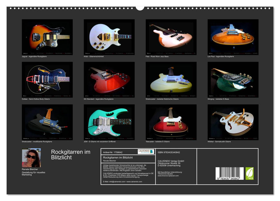 Rockgitarren im Blitzlicht (CALVENDO Premium Wandkalender 2025)