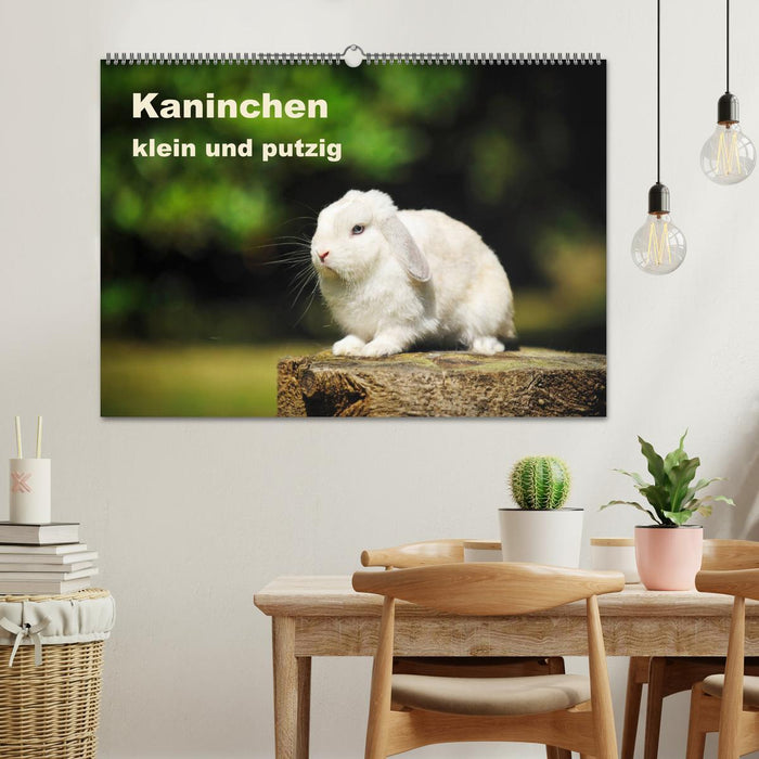 Kaninchen klein und putzig (CALVENDO Wandkalender 2025)