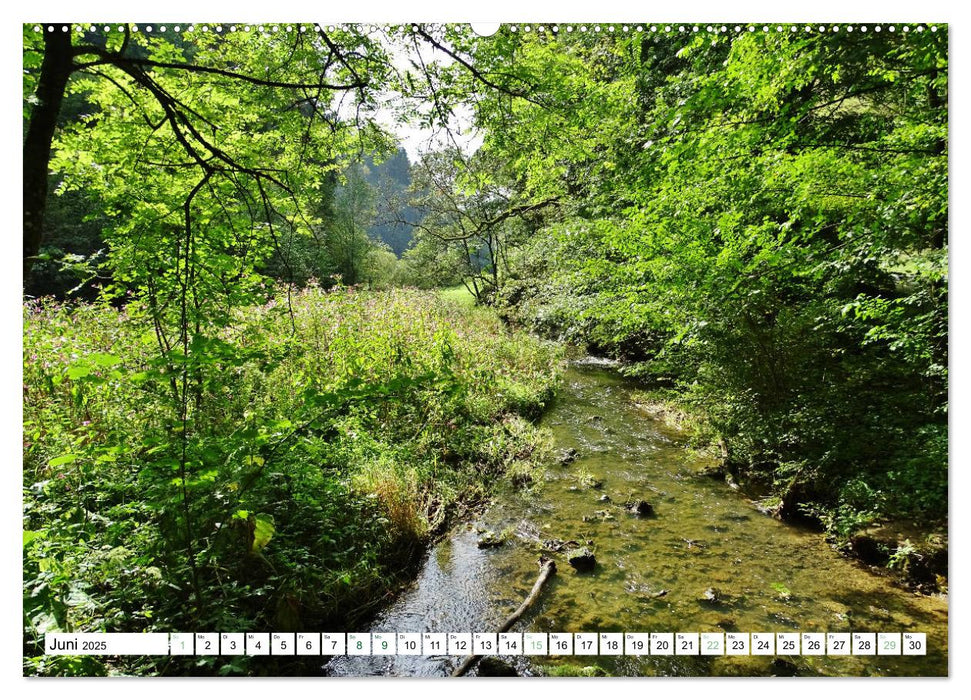 Wandererlebnisse in der Fränkischen Schweiz (CALVENDO Premium Wandkalender 2025)