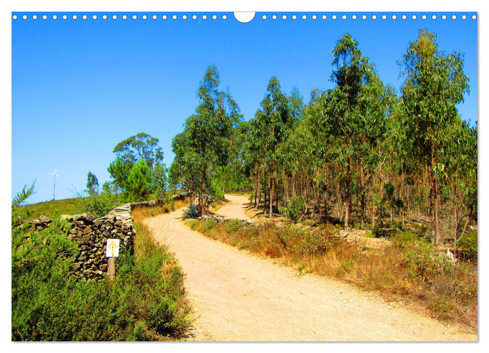 Jakobsweg - Camino Portugues Central (CALVENDO Wandkalender 2025)