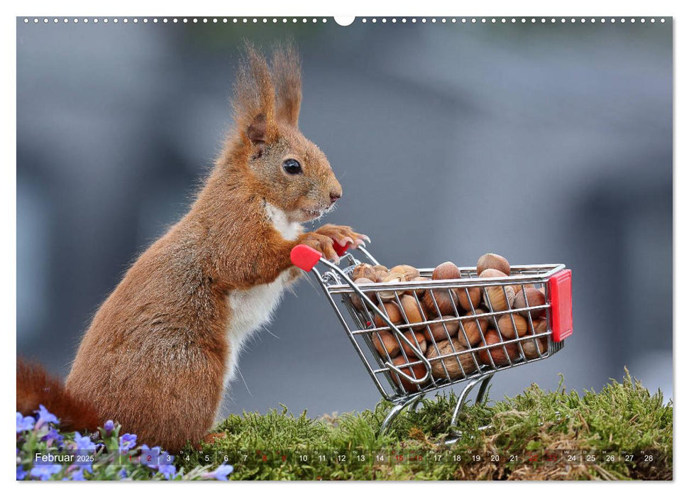 Eichhörnchen Luna und ihre Kinder (CALVENDO Premium Wandkalender 2025)