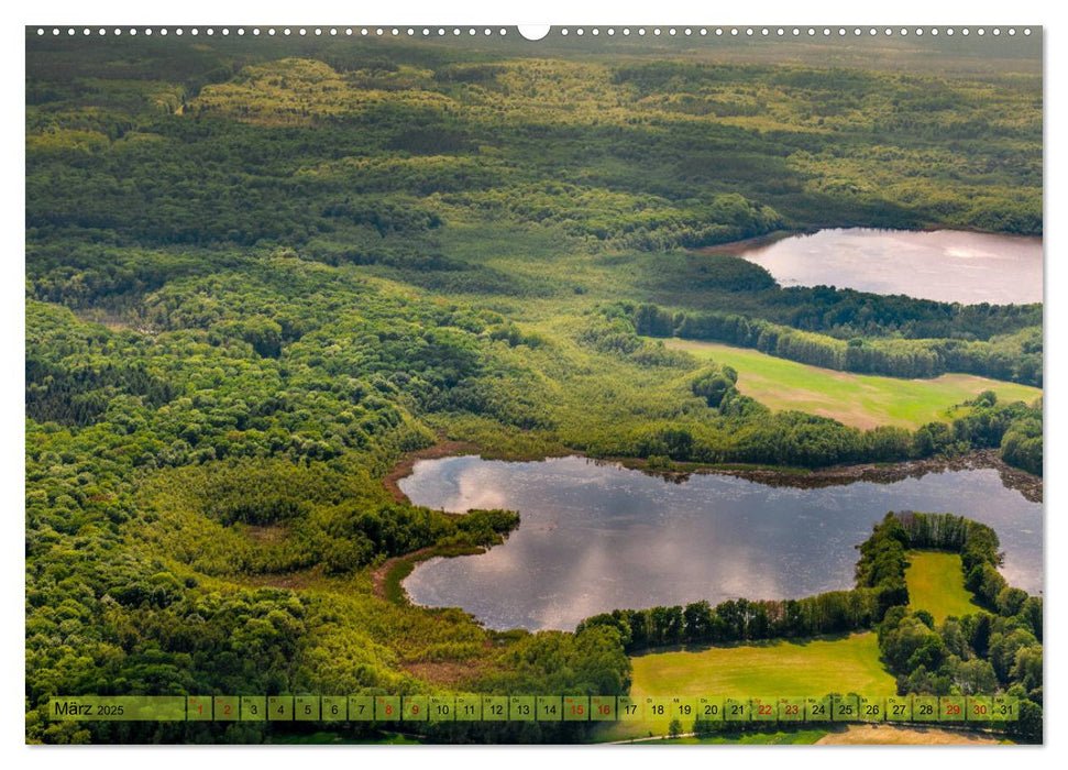 Schorfheide von oben (CALVENDO Premium Wandkalender 2025)