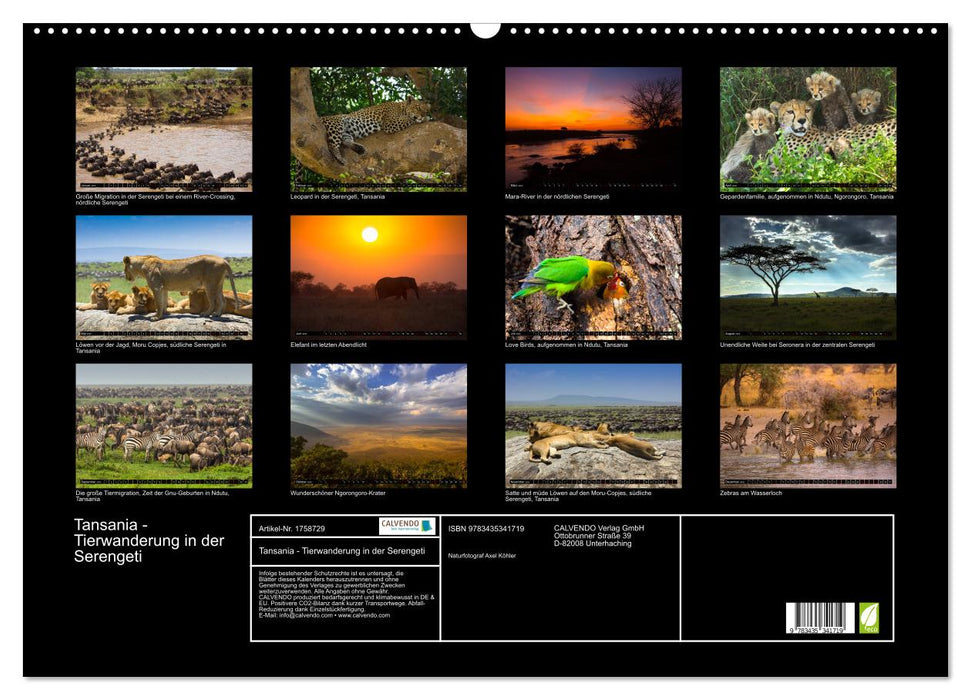Tansania - Tierwanderung in der Serengeti (CALVENDO Wandkalender 2025)